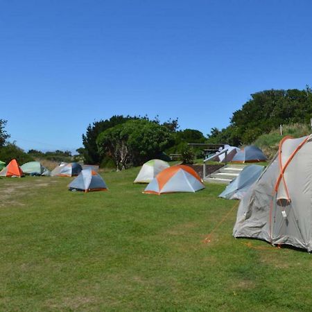 Dunedin Holiday Park Dış mekan fotoğraf