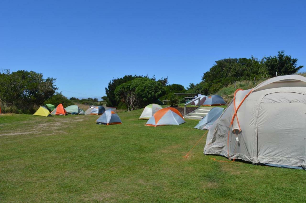 Dunedin Holiday Park Dış mekan fotoğraf